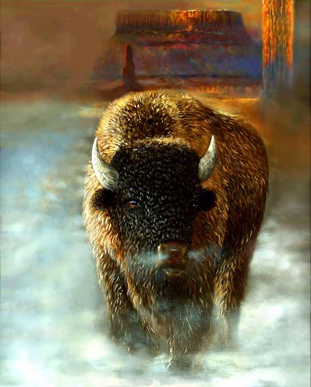 Plains Buffalo
